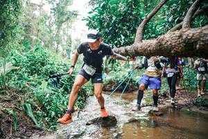 BIB: 
                            <button type="button" onclick="openModal(25375774)" class="btn btn-primary btn-sm float-right btn-popup" data-toggle="modal" data-target=".modal-high-quality">
                        <i class="fas fa-shopping-cart"></i> Add to Cart
                    </button>
                                            <button type="button" onclick="isThisMe(25375774, true)" class="btn btn-success btn-sm float-right btn-popup btn-isme hidden" data-toggle="tooltip" data-placement="bottom" title="นี่คือรูปของคุณใช่ไหม คลิกที่นี่เพื่อเอาเข้าอัลบั้ม">
                        <i class="fas fa-plus"></i> Add to album
                    </button>
                    <button type="button" onclick="isThisMe(25375774, false)" class="btn btn-warning btn-sm float-right btn-popup btn-isnotme hidden">
                        <i class="fas fa-ban"></i> Remove from album
                    </button>